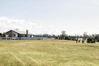 A Farmhouse escape 15 minutes from Launceston - Ferienwohnung