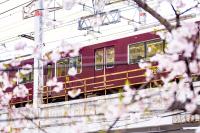 NADA Terrace - Chambres d’hôtes Higashiinōdaki