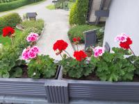 Wiesenblick - Ferienwohnung
