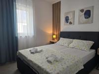 Two-Bedroom Superior Apartment