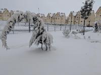 Les jardins d'Ifrane - Bed and Breakfast