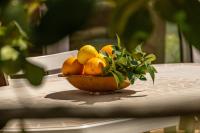 Finca Xesca - Bed and Breakfast Sóller