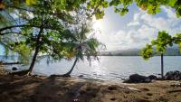 Tahiti Iti - Fare Pihiti Spot - Bed and Breakfast Paui