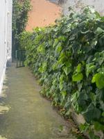 Casa Elisa 8 - B&B Bellaria-Igea Marina