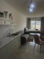 View of flamingos - B&B