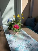 Idyllische 2-Zimmer-Wohnung im Herzen Hannovers - Ferienwohnung Hannover