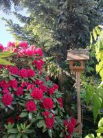 Fewo Seestern - B&B Bremerhaven