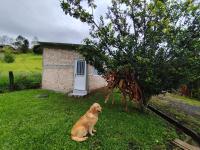 Cabaña Retiro del Bosque Popayán - B&B
