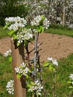 Logement avec terrasse Millau - B&B Millau