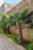 Apartment BellaVido Mostar - Ferienwohnung Mostar