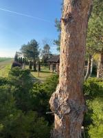 Agroturystka pod sosnami - B&B Bałtów