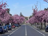 Studio neuf cosy entre Paris et Disneyland - B&B Bry-sur-Marne