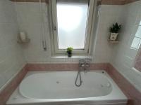 Green house - appartamento rome - B&B Roma