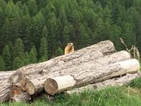 Superdevoluy avec vue sur les pistes et montagne - B&B Le Dévoluy