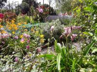 manoir de la baronnie d'urville - B&B Urville