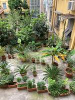 Casa Ferrari - Ferienwohnung Rom