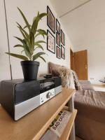Appartamento con 1 Camera da Letto