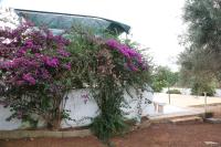 A casa di Isor - B&B