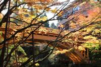 Koorogirou - B&B