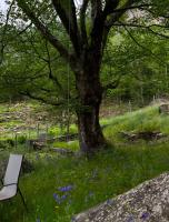 Private 3-story villa in Val calanca, Rossa - B&B Rossa