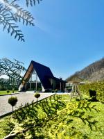 Cabana Ana Barsana - B&B Bârsana