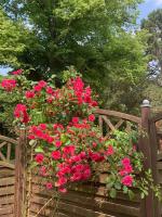 Brüni 18 - Idyllische Wohnung auf dem Land - B&B Warmsen