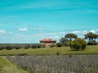 Casa YUVI - Bed and Breakfast