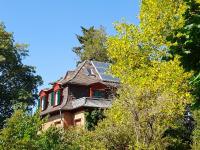 Ferienwohnung Unterm Tulpenbaum - B&B Müllheim