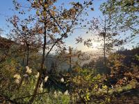 Ninekm Forest Wilderness X by Tiny Away - B&B Wufeng