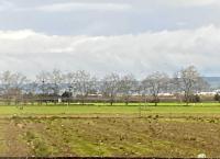 Triple Room with Garden View