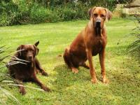 Hardy-da Forest Cottage - B&B White River