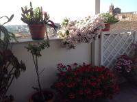Attico Da Rosa con vista spettacolare a 360 gradi - B&B