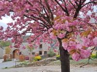 « Le LoMa » Ancienne fermette - B&B Hotton