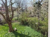 Fany - B&B Wałbrzych