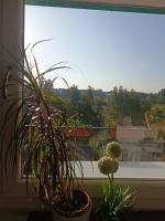 Boutique apartment vicino San Pietro - B&B