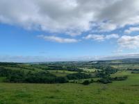 Cute cob cottage - B&B Winterborne Stickland