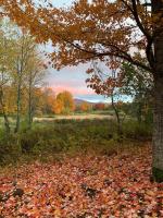The Disco Den on Toad Road - B&B Plainfield