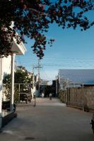 The Little Garden Mui Ne Homestay - B&B Mui Ne