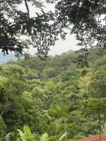 Chalé na Montanha no Recreio dos Bandeirantes - Linda Vista da Floresta - Perto de lindas praias - Chambres d'hôtes Engenho Novo