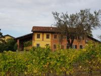 Country House Mimosa - Relax in jacuzzi tra i vigneti - B&B Fubine