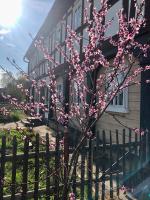 Mandauhaus Großschönau - Bed and Breakfast