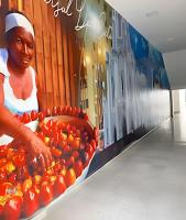 304A Espectacular Loft en granada - B&B Cali