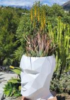 B&B Finca Conchales - Ferienwohnung Torrox