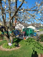Ferienwohnung Thielen - Ferienwohnung Badem