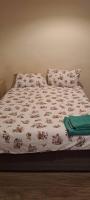 Charming Leicester Guest Room with Shared Facilities - Bed and Breakfast Leicester