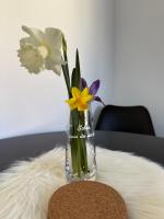 Ferienwohnung Rüdenhausen - B&B Rüdenhausen