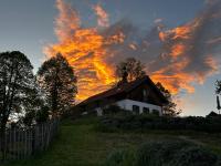 Estate Ana - B&B Ptuj