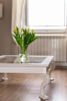 Casa Desy - Bed and Breakfast Forte dei Marmi