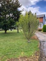 Casa Sindo - Chambres d’hôtes Teixeira