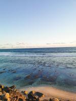 Palm View - Bed and Breakfast Les Avirons